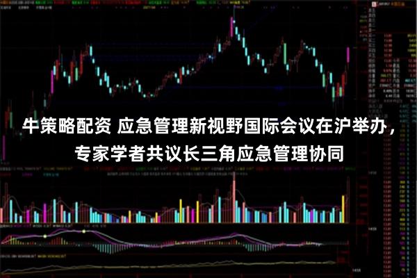 牛策略配资 应急管理新视野国际会议在沪举办,专家学者共议长三角应急管理协同